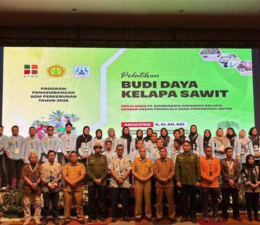Atasi Berbagai Tantangan, BPDP, Ditjenbun dan PT SIB Gelar Pelatihan Budidaya Sawit Pekebun Rokan Hilir