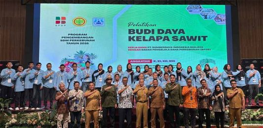 Sawit Berkelanjutan Jadi Penopang Ekonomi, BPDP Dorong Pekebun Rokan Hilir Naik Kelas