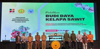 Tingkatkan Produktivitas, BPDP, Ditjenbun dan PT SIB Gelar Pelatihan Budidaya Sawit Pekebun Rokan Hilir