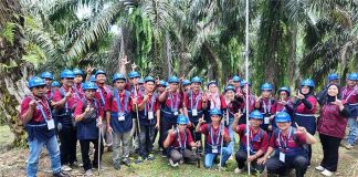 BPDP, Ditjenbun dan DGL Bawa 142 Pekebun Bengkulu Tengah Belajar ke Kebun BRS