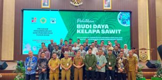 Produktivitas Sawit Rakyat Bengkalis Rendah, BPDP Bersama Ditjenbun dan PT SIB Gelar Pelatihan Budidaya