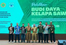 Tingkatkan Produktivitas Sawit Rakyat, SDM Pekebun Jadi Investasi Penting