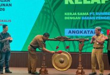 Produktivitas Sawit Rakyat Rendah, Riau Dorong Pekebun Naikkan Standar Budidaya