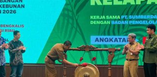 Produktivitas Sawit Rakyat Rendah, Riau Dorong Pekebun Naikkan Standar Budidaya