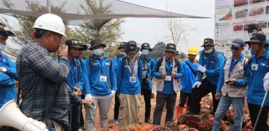 Tingkatkan Kualitas Pengelolaan Kebun, Petani OKU Pelajari Praktik Budi Daya Sawit dari Hulu ke Hilir
