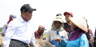 Menteri Pertanian (Mentan), Andi Amran Sulaiman