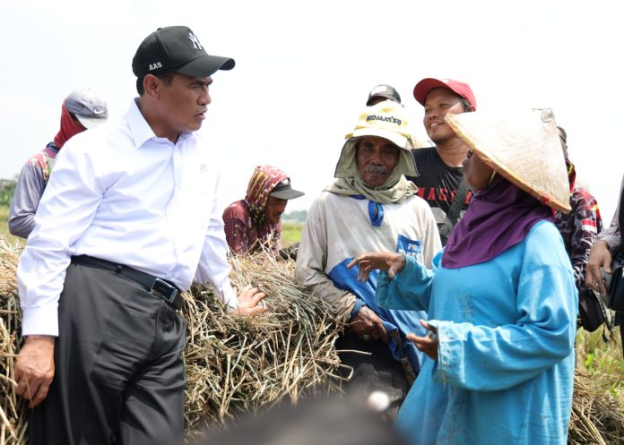 Menteri Pertanian (Mentan), Andi Amran Sulaiman