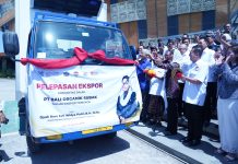 Wakil Menteri Perdagangan (Wamendag) Dyah Roro Esti Widya Putri Rorodi.