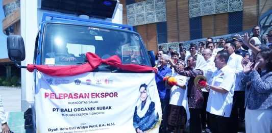 Wakil Menteri Perdagangan (Wamendag) Dyah Roro Esti Widya Putri Rorodi.