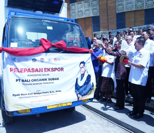 Wakil Menteri Perdagangan (Wamendag) Dyah Roro Esti Widya Putri Rorodi.