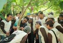 Syngenta Dorong Produktivitas Kakao Petani lewat Optimalisasi Penyerbukan Festival Kakao Tangguh 2026