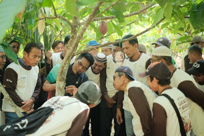 Festival Kakao Tangguh 2026