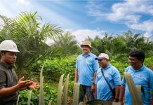 Sempat Keluar Kemitraan, KUD Sadar Sejahtera Kembali Bermitra dengan Sinar Mas Kemitraan memperkuat pengelolaan kebun melalui pendampingan Good Agricultural Practices (GAP).