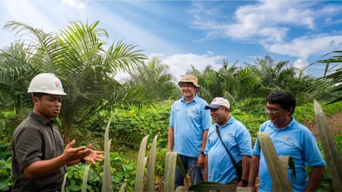 kemitraan-sinar-mas-kud Kemitraan memperkuat pengelolaan kebun melalui pendampingan Good Agricultural Practices (GAP).