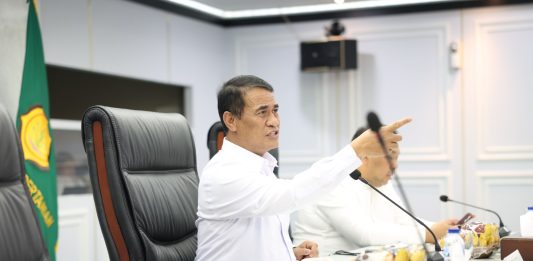 Harga Singkong Melesat, MSI Apresiasi Kebijakan Mentan Amran Setop Impor Menteri Pertanian (Mentan) Andi Amran Sulaiman