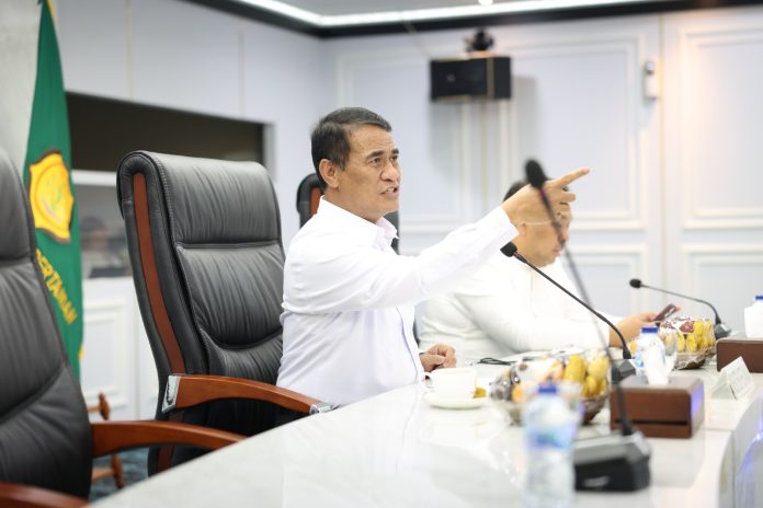 amran-sulaiman-singkong Menteri Pertanian (Mentan) Andi Amran Sulaiman