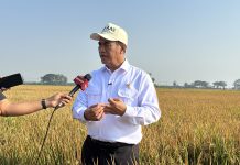 Mentan Amran: PM-AAS Bisa Dongkrak Produktivitas Padi hingga 13 Ton Menteri Pertanian (Mentan), Andi Amran Sulaiman