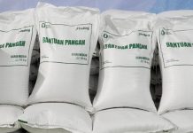 Bantuan Pangan pemerintah
