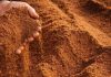 Karantina Lampung Lepas 14 Ribu Ton Bungkil Inti Sawit ke Selandia Baru Palm Kernel Expeller (PKE)