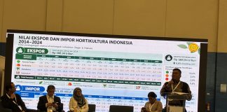 Ekspor Hortikultura RI Capai Rp588 Triliun, Kementan Bidik Pasar Lebih Luas Direktur Hilirisasi Hasil Hortikultura Kementerian Pertanian (Kementan) Freddy