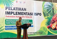 BPDP Bersama Ditjenbun dan PT SIB Gelar Pelatihan ISPO, Hadapi Tuntutan Pasar Global