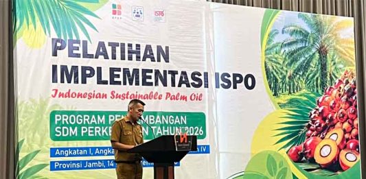 BPDP Bersama Ditjenbun dan PT SIB Gelar Pelatihan ISPO, Pekebun Sawit Jambi Naik Kelas