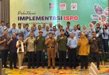 Hadapi Tuntutan Pasar, BPDP, Ditjenbun dan PT SIB Gelar Pelatihan ISPO Pekebun Tebo Jambi