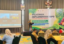 BPDP Bersama Ditjenbun dan PT SIB Gelar Pelatihan ISPO, Dorong Pekebun Sawit Naik Kelas