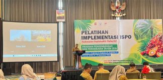 BPDP Bersama Ditjenbun dan PT SIB Gelar Pelatihan ISPO, Dorong Pekebun Sawit Naik Kelas