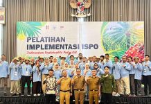 BPDP Bersama Ditjenbun dan PT SIB Adakan Pelatihan ISPO, Bekal Naikkan Produktivitas dan Daya Saing