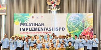 BPDP Bersama Ditjenbun dan PT SIB Adakan Pelatihan ISPO, Bekal Naikkan Produktivitas dan Daya Saing