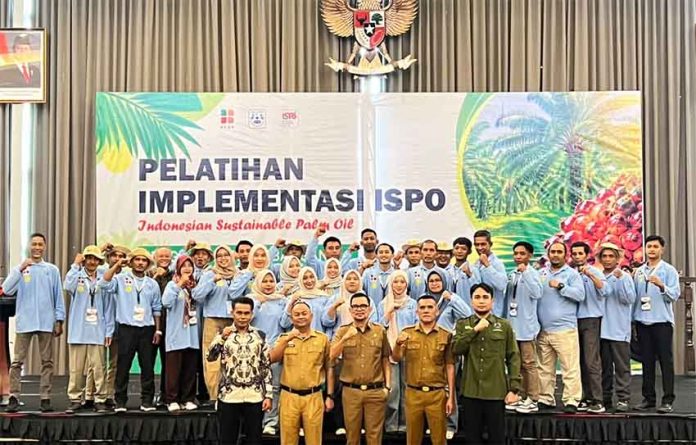 jambi 6