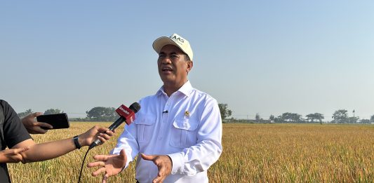 Mentan Amran Ungkap Alasan Beras Indonesia Lebih Mahal dari Thailand-Vietnam Menteri Pertanian Andi Amran Sulaiman