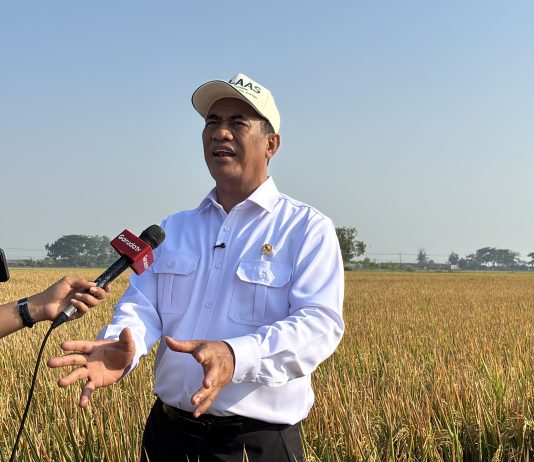 Menteri Pertanian Andi Amran Sulaiman