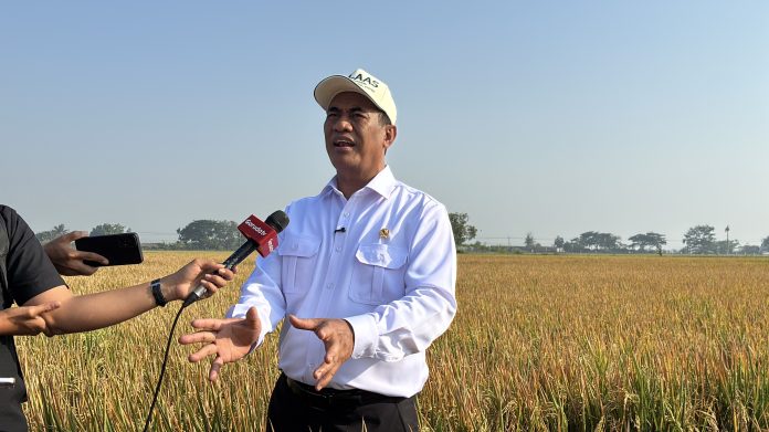 Menteri Pertanian Andi Amran Sulaiman