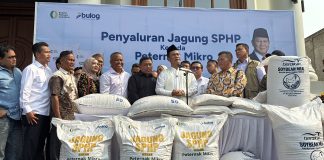 Tak Usah Repot Demo, Mentan Amran: “Datang ke Saya, Saya Beresin untuk Peternak” Menteri Pertanian (Mentan), Andi Amran Sulaiman