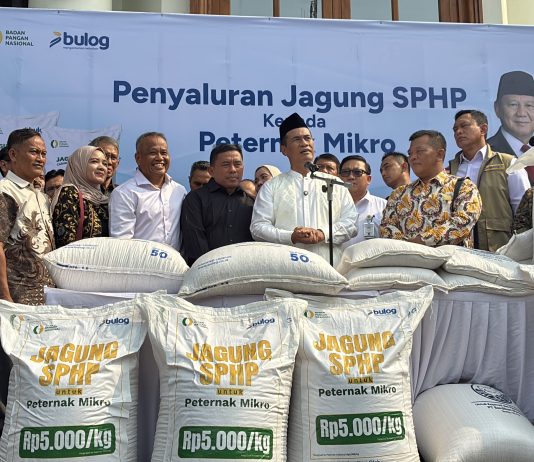 Menteri Pertanian (Mentan), Andi Amran Sulaiman