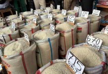 Pasokan Beras di PIBC Melimpah, Stok Pedagang di Atas 50 Ton per Toko stok beras di pedagang PIBC