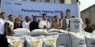 Mentan Amran Siapkan Regulasi Permanen untuk Atasi Masalah Peternak Ayam Menteri Pertanian (Mentan), Andi Amran Sulaiman