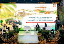 BPDP Siap Dukung Pengembangan Ekosistem Kelapa dari Hulu hingga Hilir Direktur Penyaluran Dana Sektor Hulu BPDP, Normansyah Hidayat Syahruddin