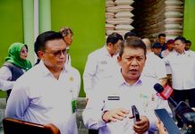 Bapanas Ungkap Penyebab Beras Premium Tak Merata di Ritel Deputi Bidang Ketersediaan dan Stabilisasi Pangan Badan Pangan Nasional (Bapanas) Mayjen TNI (Purn) Ito Hediarto
