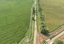 Negeri Megabiodiversitas yang Belum Menguasai Nilai Genetikanya