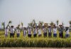 Syngenta Indonesia