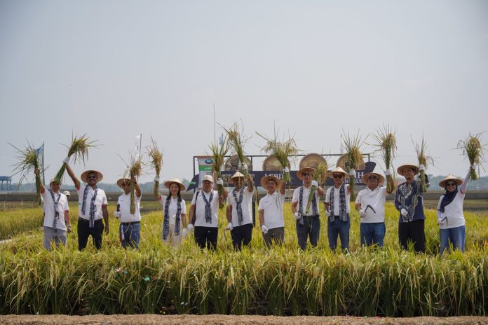 syangenta-indonesia Syngenta Indonesia