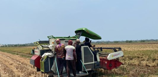 Kerja Sama Solid Petani dan Petugas Lapangan Dorong Serapan Beras BULOG Capai 4,25 Juta Ton tim jemput bola