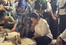 Direktur Utama Perum BULOG, Ahmad Rizal Ramdhani