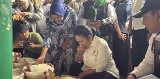 Harga Beras Turun Rp 500 per Kg dalam Dua Minggu Terakhir Direktur Utama Perum BULOG, Ahmad Rizal Ramdhani