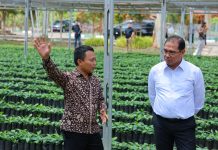 Wakil Menteri Pertanian (Wamentan), Alim Setiawan Slamet