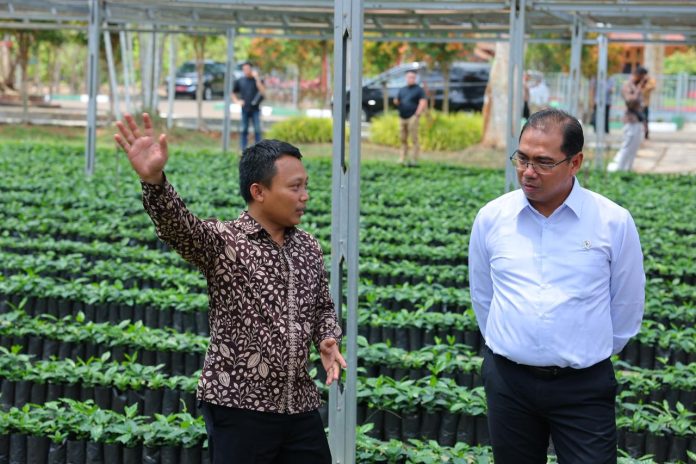 Wakil Menteri Pertanian (Wamentan), Alim Setiawan Slamet